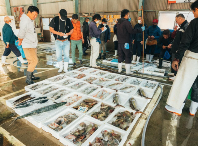 大神漁港の朝市「深江の朝市」とは？