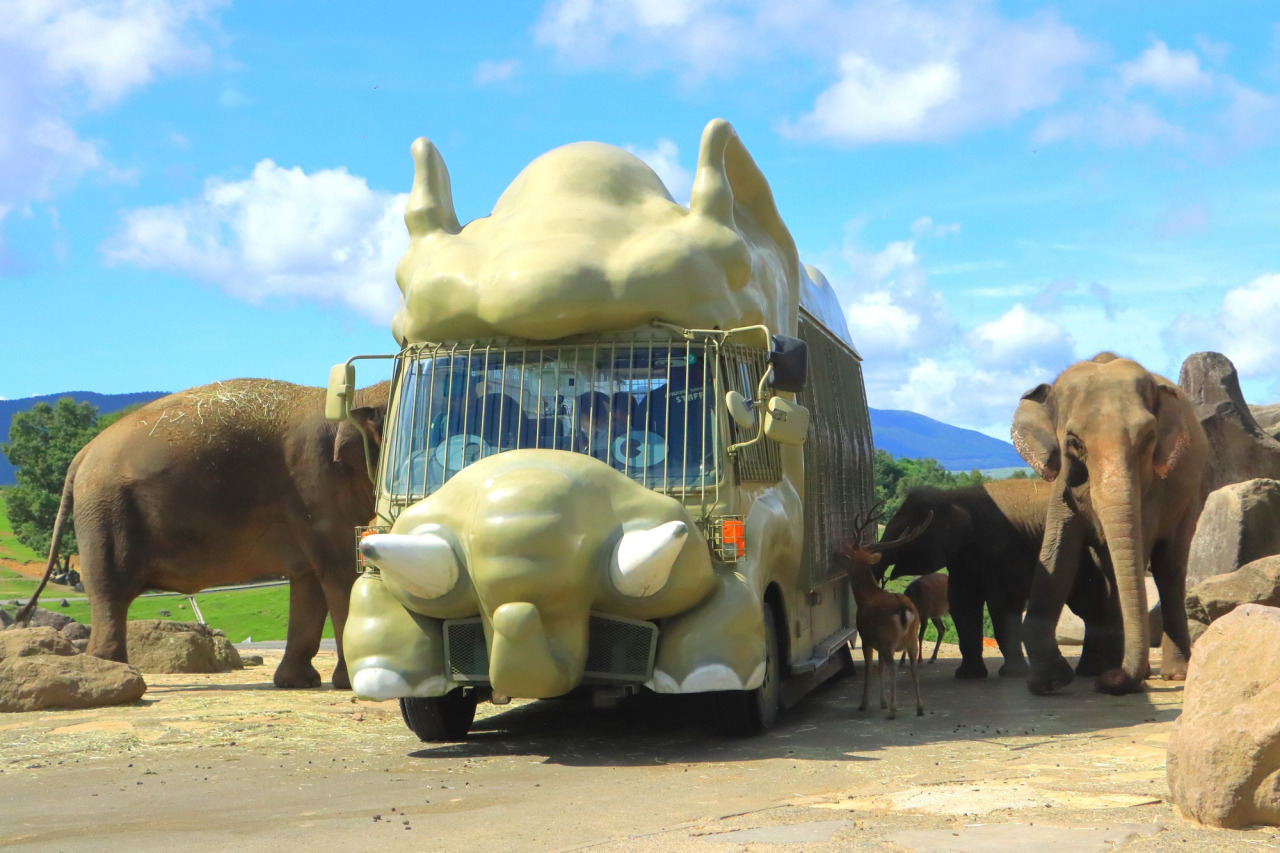 九州自然動物公園アフリカンサファリ