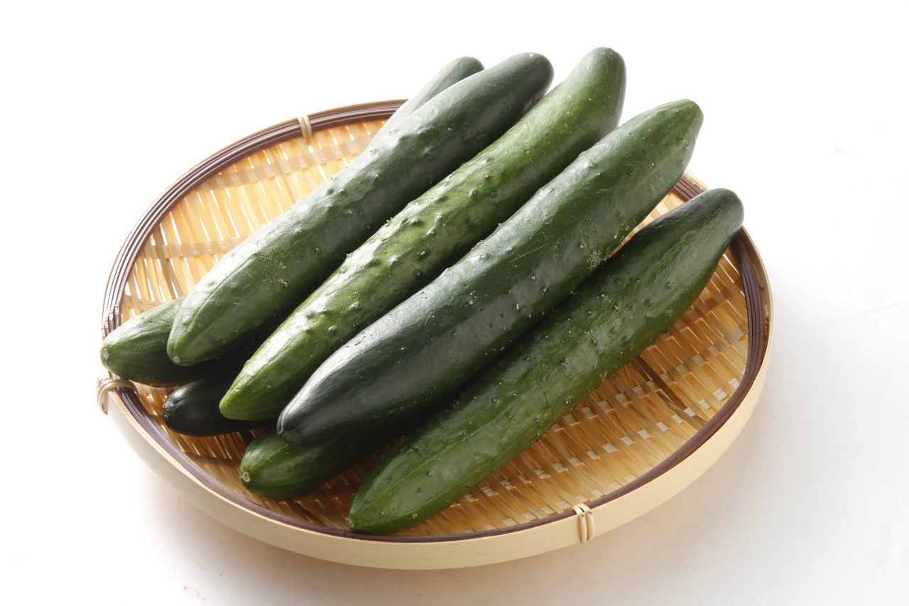 白イボキュウリ