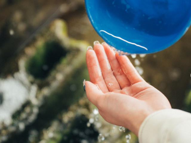 おいしい野菜を育む日出町の水