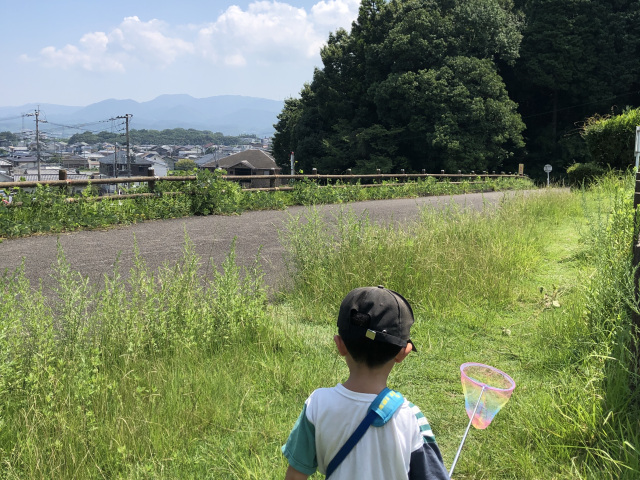 【大分県日出町】自然を楽しむ！日出町のおでかけスポット