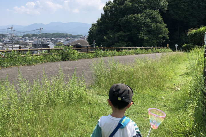 自然を楽しむ！日出町のおでかけスポット